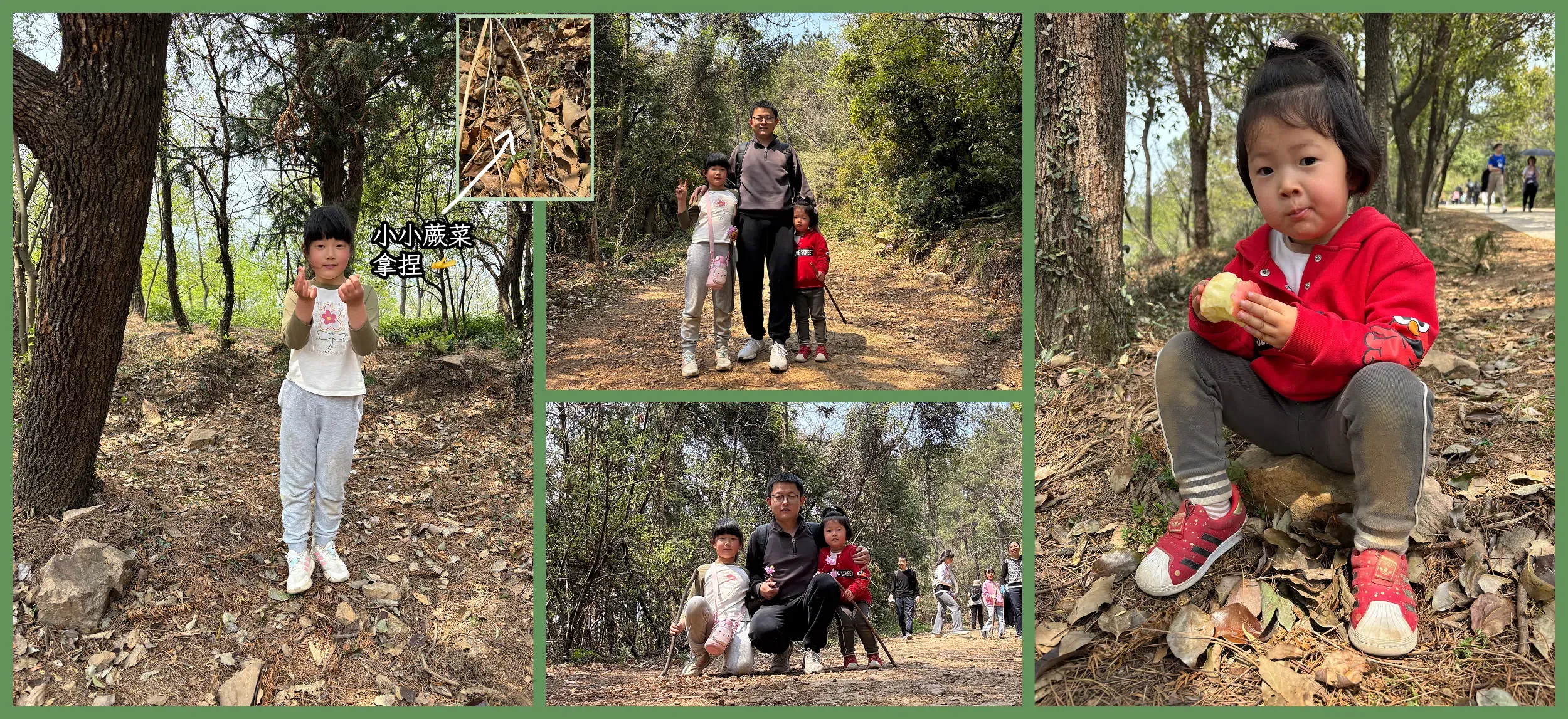 2025-04-08-爬山摘蕨菜