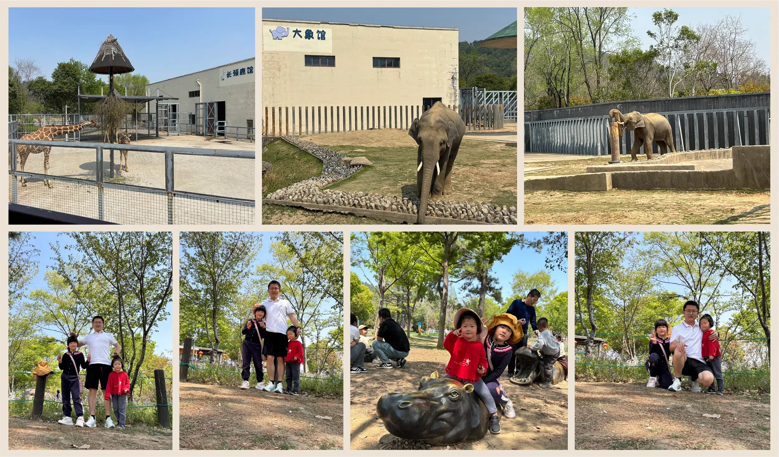 2025-04-08-动物园